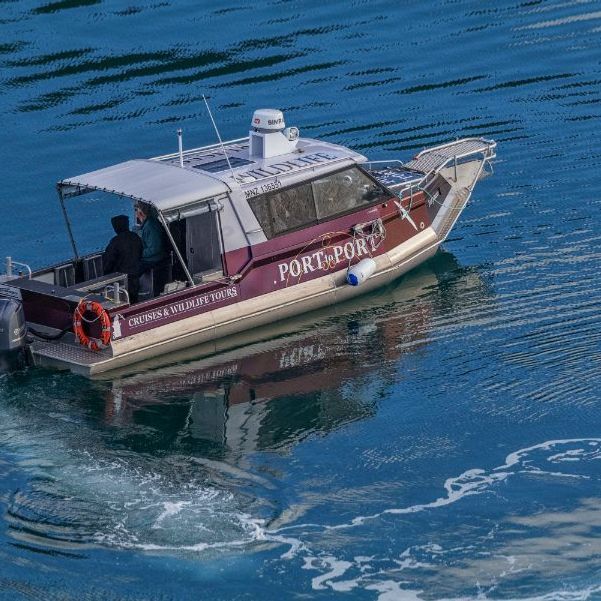 Quarantine Island, Otago Harbour-MV Sooty Chaser 