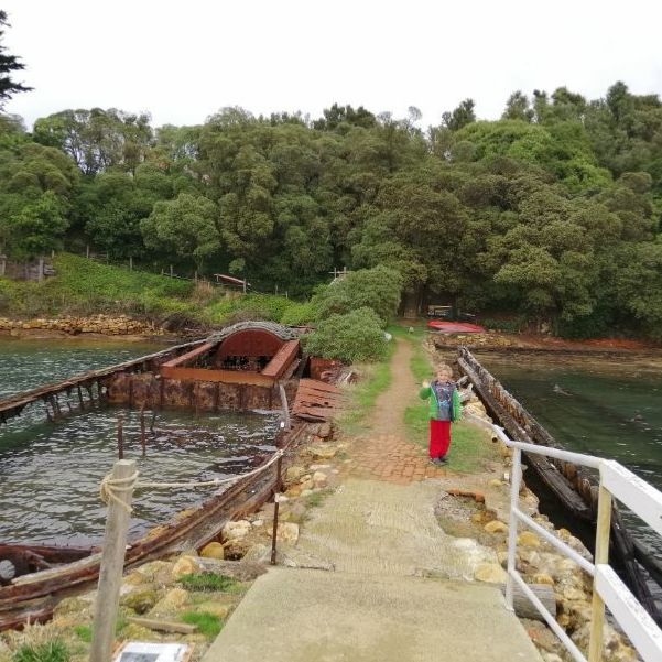 Shipwrecks on Quarantine Island