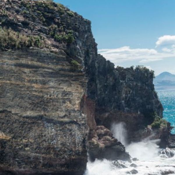 Taiaroa Head