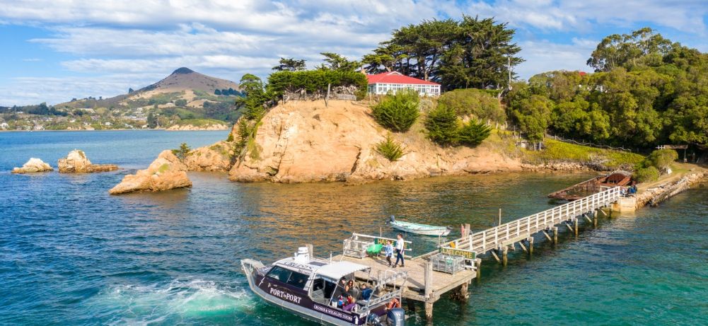 boat tours dunedin